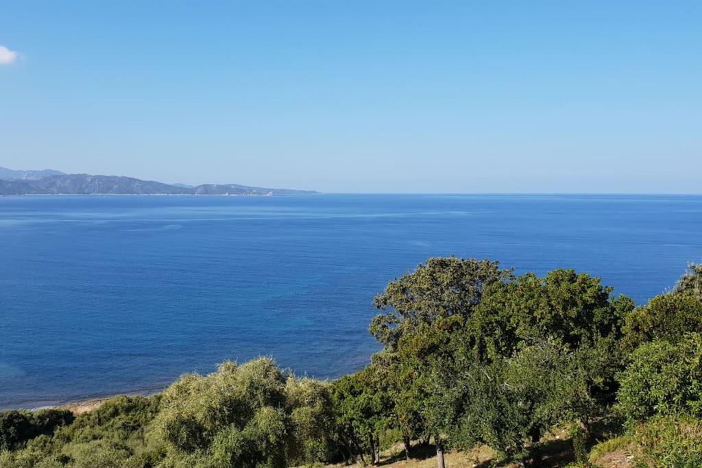 דירות פטרימוניו Casa Marine Du Soleil 60 מראה חיצוני תמונה